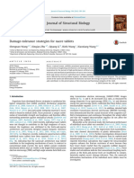 Damage-tolerance strategies for nacre tablets