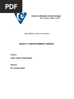 Ensayo Competencias Laborales