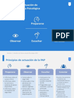 Principios PAP PDF