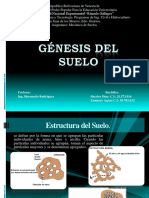 Génesis del Suelo.pptx