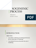 Exogenenic Process