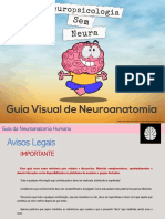 guia de neuroanatomia ilustrações pdf