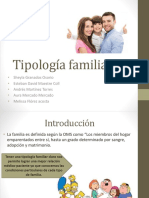 Tipologia familiar.pptx