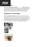 My Five Senses Labels | PDF