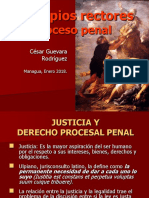 01-Principios Rectores Proceso Penal