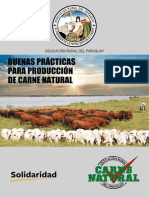 Buenas Prácticas para Producción de Carne.pdf