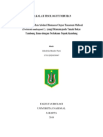 Makalah Fistum Tanaman Mahoni Pada Lahan Kritis - Salsabila H.P