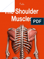 14f The-Shoulder-Muscles-eBook.pdf