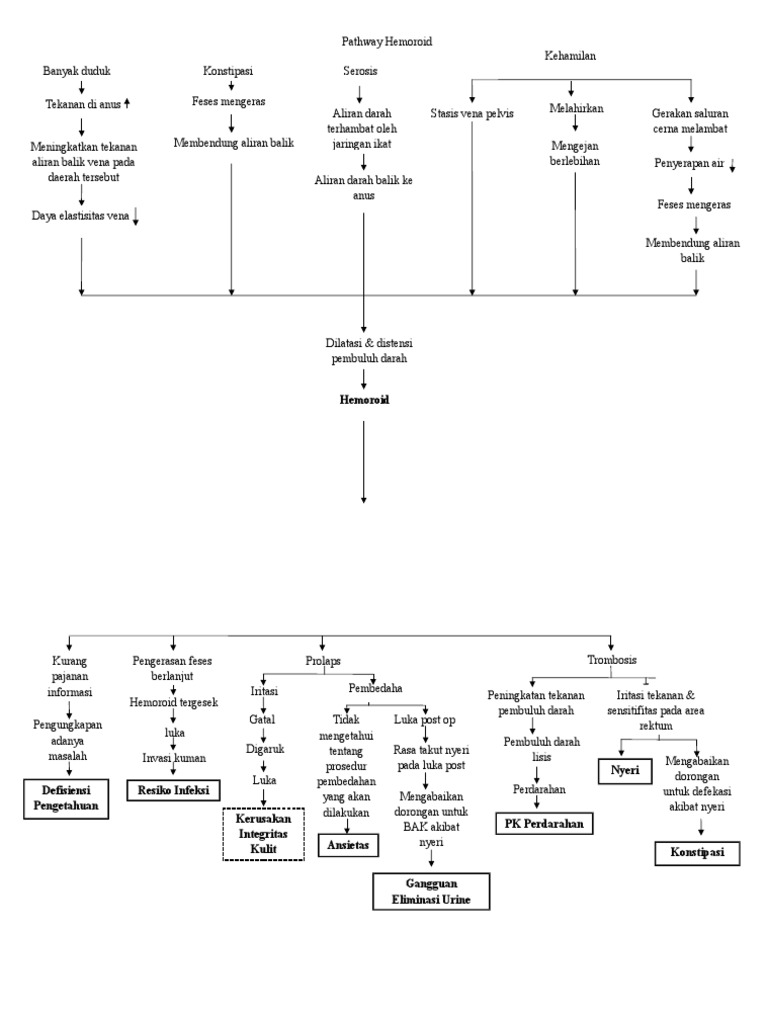 Pathway Hemoroid Pasca Operasi | PDF