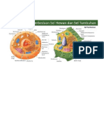 Lembar Kegiatan Perbedaan Sel Hewan dan Sel Tumbuhan