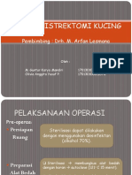 PPT OVARIOHISTREKTOMI (OH) KUCING