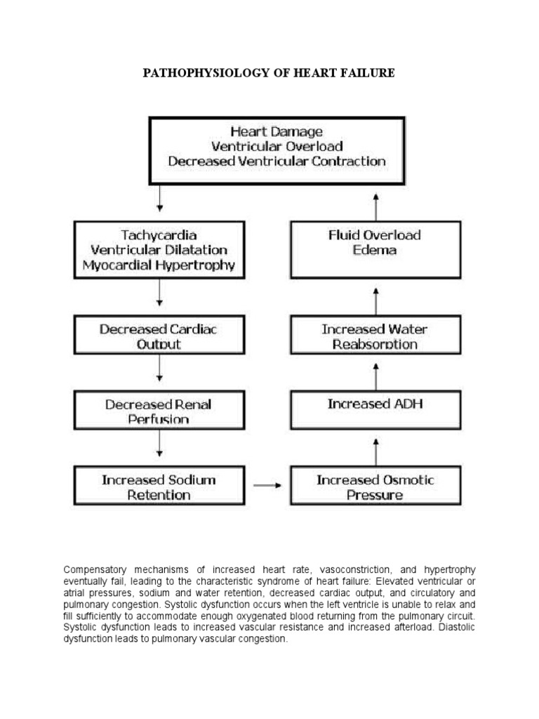 Pathophysiology of Heart Failure | PDF | Heart Failure | Heart