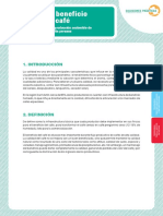 Beneficio Cafe Soluc. Practicas PDF
