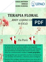 Flores de Bach PDF