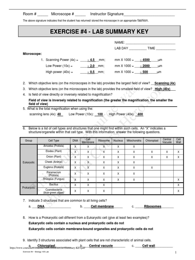 Exercise 4 Summary - KEY PDF | PDF | Eukaryotes | Cell (Biology)