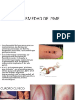 Enfermedad de Lyme: causas, síntomas y tratamiento