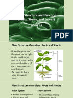 1.4 Plant Structure and Functions