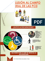 Inclusion de PCD Ambito Laboral