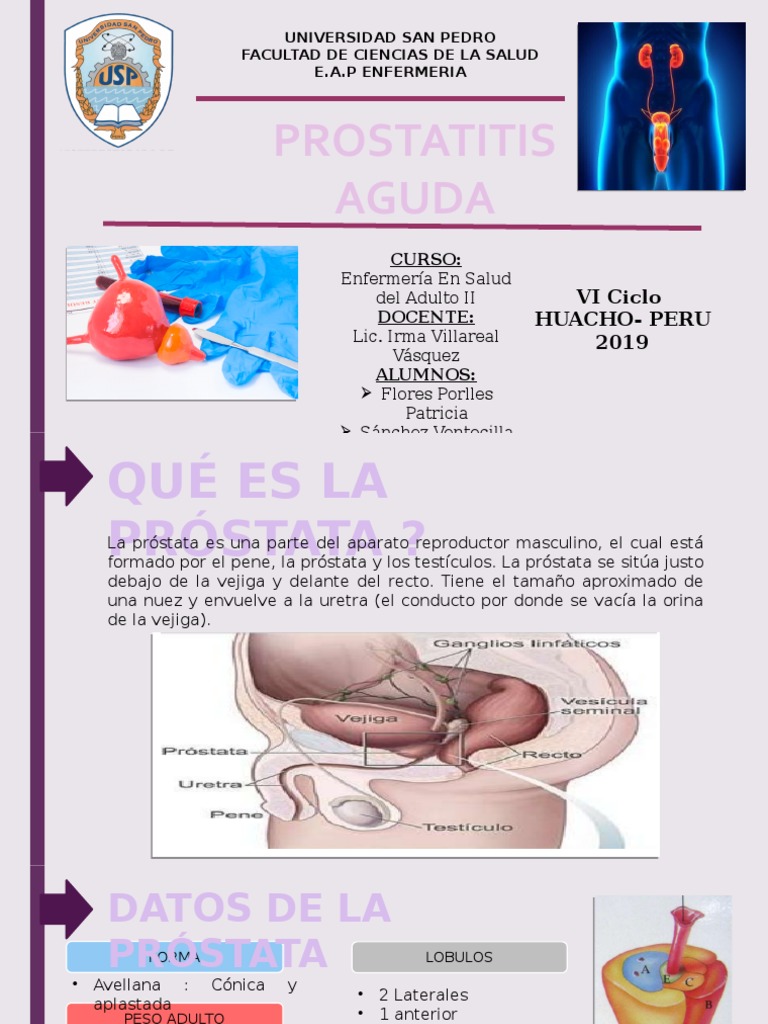 prostatitis en bovinos