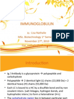 Immunoglobulin Structure and Function