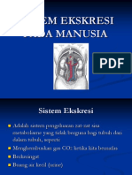 Sistemekskresipadamanusia 160317001832