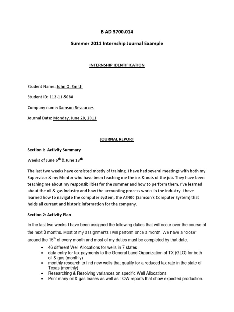 internship-bi-weekly-journal-example-pdf-business