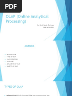 OLAP (Online Analytical Processing) BY SHSR