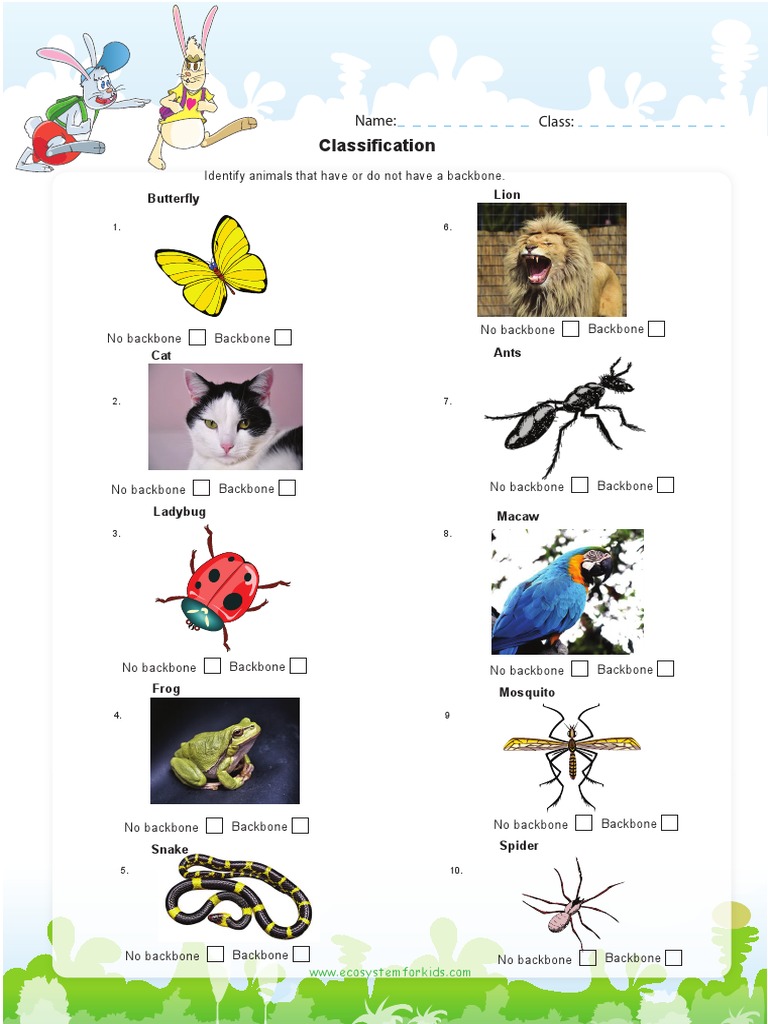 Animals With and Without Backbones | PDF