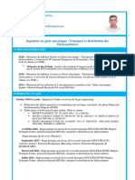 CV BENZEMA Massinissa PDF