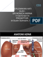 PPT Fatty Liver