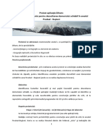 Proiect Diham2014 New PDF