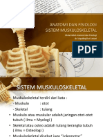 Anatomi Fisiologi - Muskuloskeletal