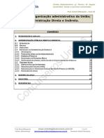 01 Direito Administrativo.pdf