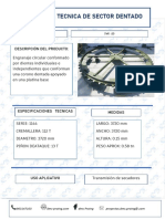 Ficha Tecnica de Sector Dentado