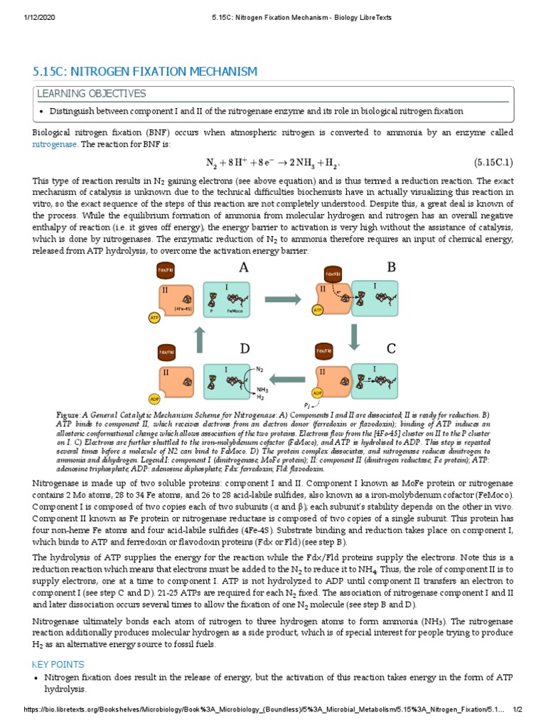 5.15C Nitrogen Fixation Mechanism Biology LibreTexts PDF PDF