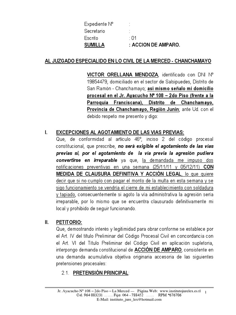 Accion de Amparo - Victor Orellana | PDF | Debido al proceso | Demanda ...