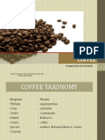 All About Coffee PDF