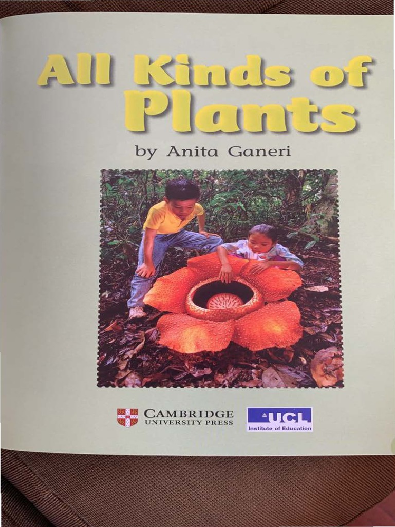 All About Different Types of Plants | PDF | Trees | Plants