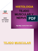Tejido Muscular y Nervioso PDF