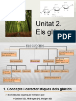 Tema 2. Els Glúcids PDF