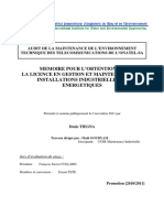 audit.pdf