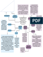 Revisoria Auditoria PDF