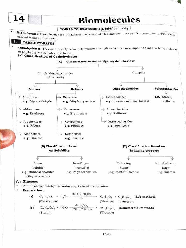 BIOMOLECULES MHT CET Synopsis PDF Hydrolysis Proteins