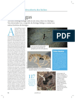 As-Formigas_small.pdf
