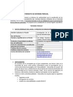 Informe Pericial.docx