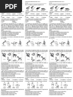 Evaluacion de Clasificacion Seres Vivos