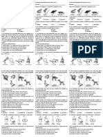 Clasificación seres vivos evaluación