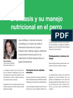 Manejo Nutricional Perro PDF