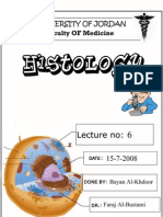 Histology #06