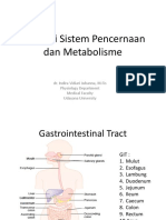 Sistem Pencernaan Dan Metabolisme